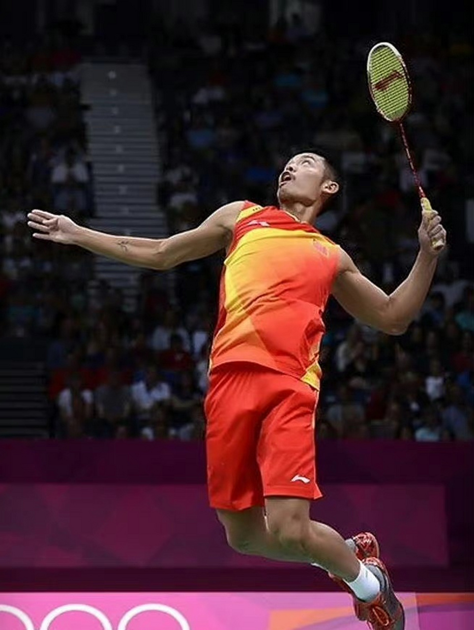 德的坚韧 德的坚韧