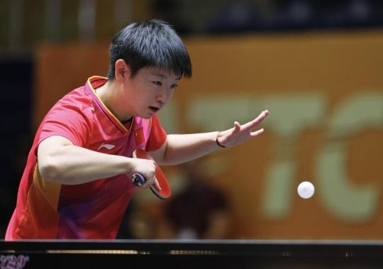 表现也具有 表现也具有